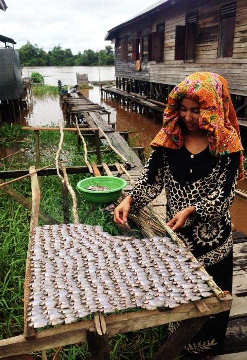 Woman laying out fish to dry, Central Kalimantan, Indonesia. Photo by Sara Thornton